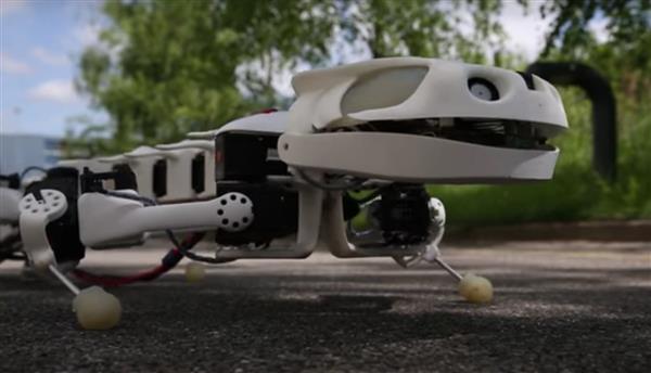 A 3D printed robot salamander that can walk, crawl and even swim underwater