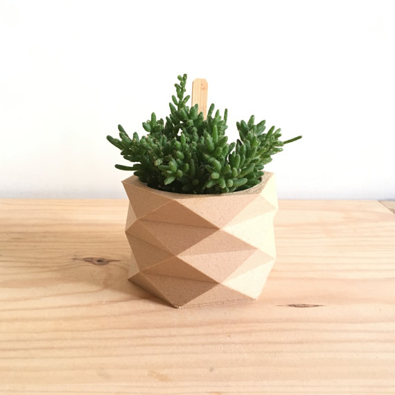 Original and Modern, a 3D Wooden Pot for Your Pot Plant!