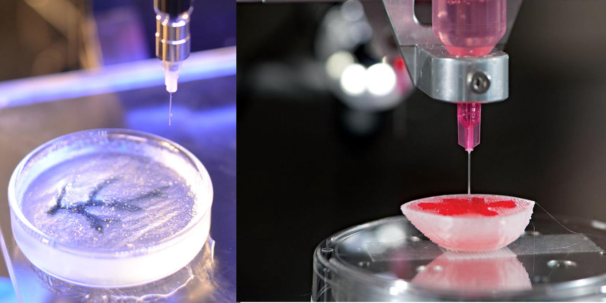 3D Bioprinting for Medical and Enhancement purpose