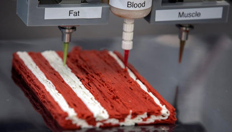 3D printed steak