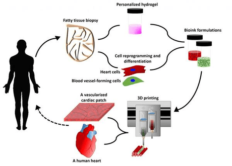 Tel Aviv University Scientists 3D Printed Heart