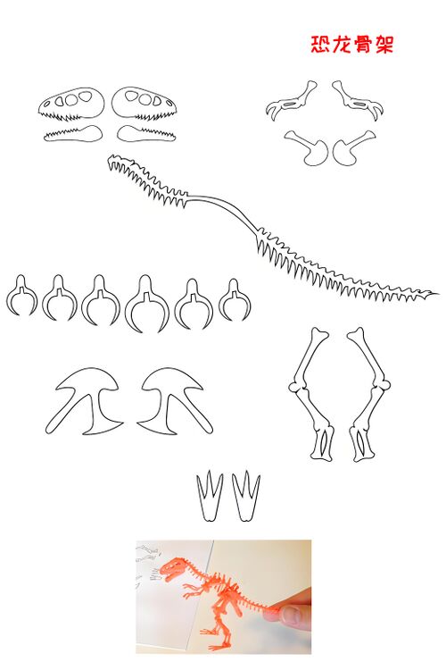198恐龙骨架